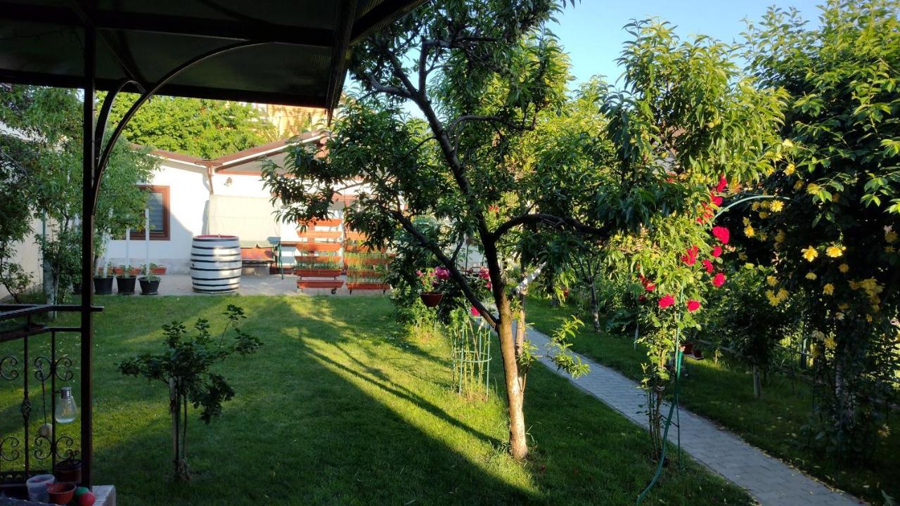 Casa Ienciu Apartment Сибиу Екстериор снимка